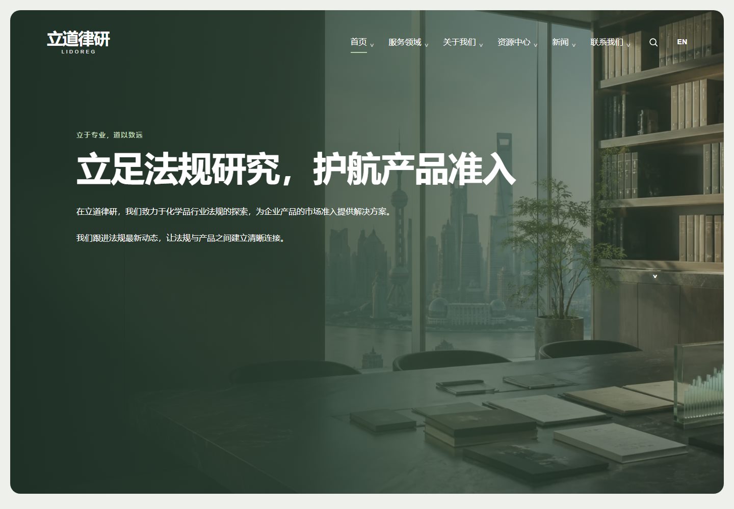 LidoReg 网站首页实拍